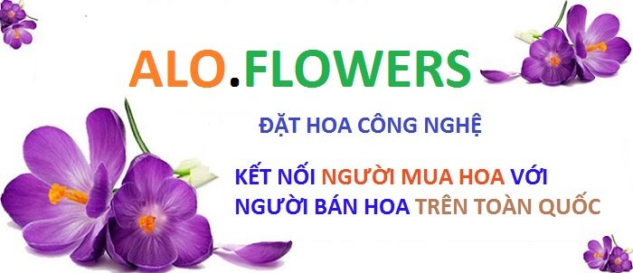 Shop hoa tươi Nguyễn Trãi - Hà Nội 