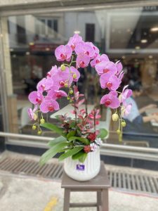 Cửa hàng hoa tươi Huyện Hóc Môn