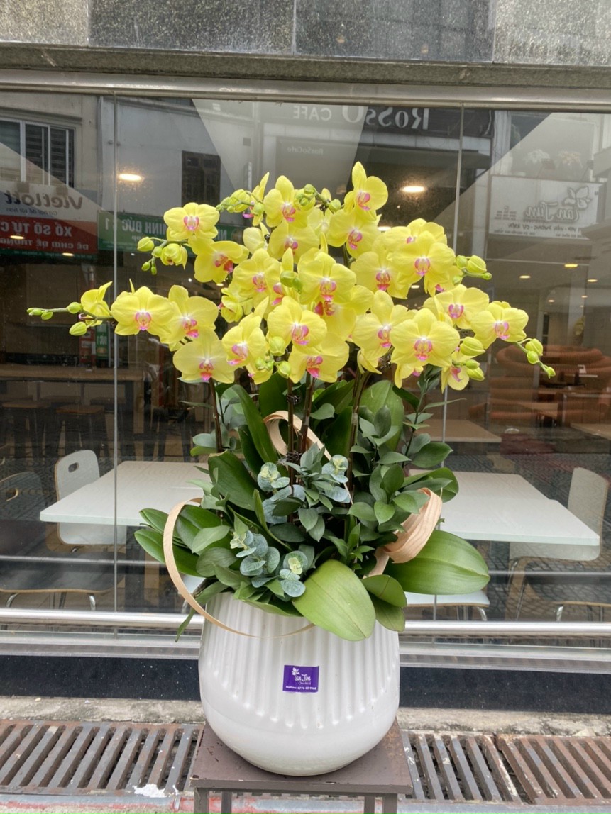 Cửa hàng hoa tươi Quận Phú Nhuận