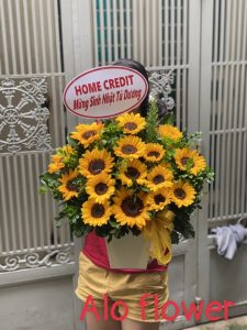 Shop hoa tươi Lâm Đồng