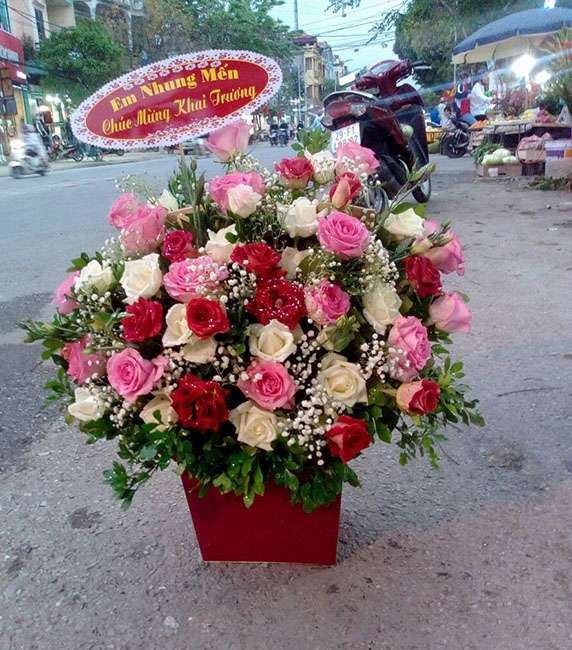 Các Loài Hoa Đẹp Nhất Thế Giới