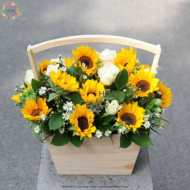 Shop Hoa Tươi Cư Jút Đắk Nông