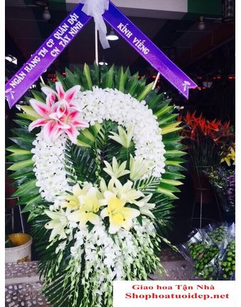 Tiếc Thương Vô Hạn