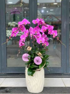 Đặt Vòng Hoa Đám Tang Giá Rẻ Tại Thị xã An Nhơn  